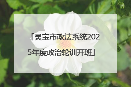 灵宝市政法系统2025年度政治轮训开班