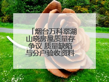 烟台万科翠湖山晓房屋质量存争议 质量缺陷与分户验收资料“丢失”之谜