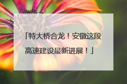 特大桥合龙！安徽这段高速建设最新进展！