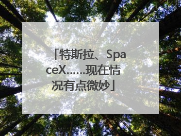 特斯拉、SpaceX……现在情况有点微妙