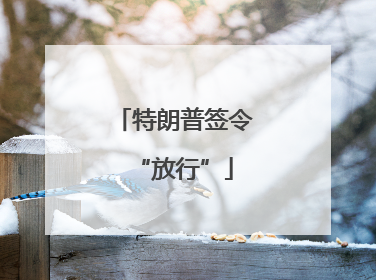 特朗普签令“放行”