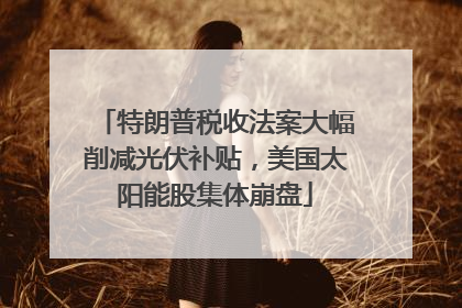 特朗普税收法案大幅削减光伏补贴，美国太阳能股集体崩盘