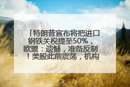 特朗普宣布将把进口钢铁关税提至50%，欧盟：遗憾，准备反制！美股此前震荡，机构：美元正进入熊市