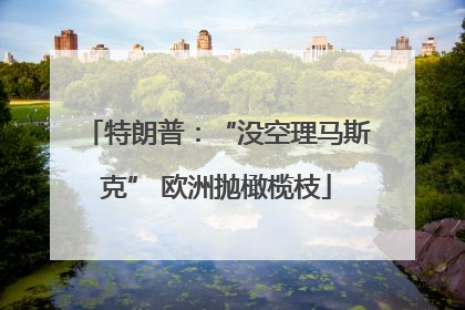 特朗普：“没空理马斯克” 欧洲抛橄榄枝