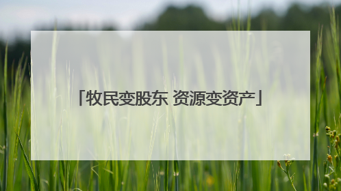 牧民变股东 资源变资产