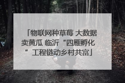 物联网种草莓 大数据卖黄瓜 临沂“四雁孵化”工程链动乡村共富