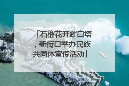 石榴花开耀白塔，新街口举办民族共同体宣传活动
