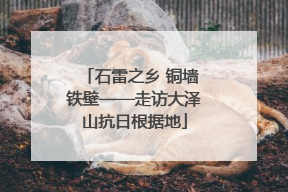 石雷之乡 铜墙铁壁——走访大泽山抗日根据地