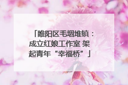 睢阳区毛堌堆镇：成立红娘工作室 架起青年“幸福桥”