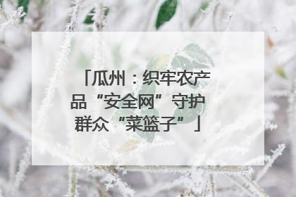 瓜州：织牢农产品“安全网”守护群众“菜篮子”