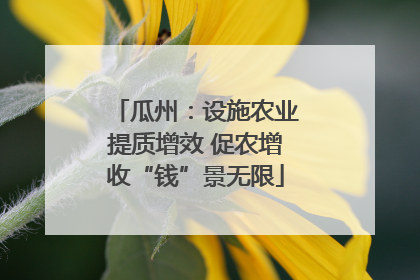 瓜州：设施农业提质增效 促农增收“钱”景无限