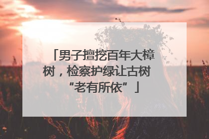 男子擅挖百年大樟树，检察护绿让古树“老有所依”
