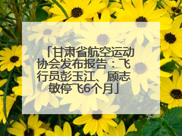 甘肃省航空运动协会发布报告：飞行员彭玉江、顾志敏停飞6个月