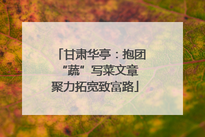 甘肃华亭：抱团“蔬”写菜文章 聚力拓宽致富路