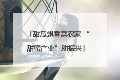 甜瓜飘香富农家 “甜蜜产业”助振兴