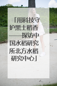 用科技守护黑土稻香——探访中国水稻研究所北方水稻研究中心