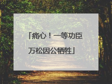痛心！一等功臣万松因公牺牲
