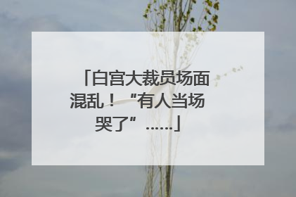白宫大裁员场面混乱！“有人当场哭了”……