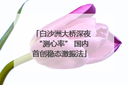 白沙洲大桥深夜“测心率” 国内首创稳态激振法