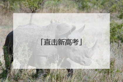 直击新高考