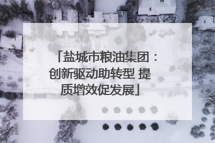 盐城市粮油集团：创新驱动助转型 提质增效促发展