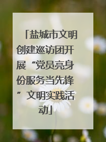 盐城市文明创建巡访团开展“党员亮身份服务当先锋”文明实践活动