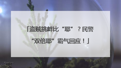 盗贼挑衅比“耶”？民警“双倍耶”霸气回应！