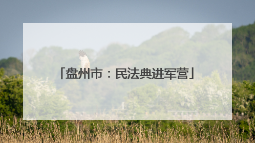 盘州市：民法典进军营