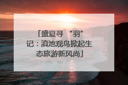 盛夏寻 “羽” 记：滇池观鸟掀起生态旅游新风尚