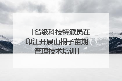 省级科技特派员在印江开展山桐子苗期管理技术培训
