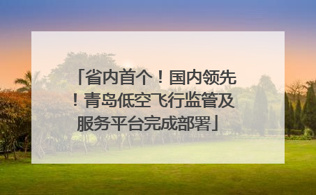 省内首个！国内领先！青岛低空飞行监管及服务平台完成部署