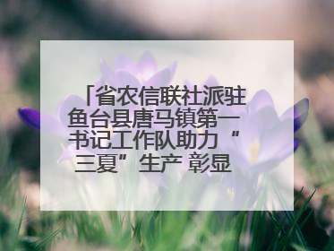 省农信联社派驻鱼台县唐马镇第一书记工作队助力“三夏”生产 彰显为民担当
