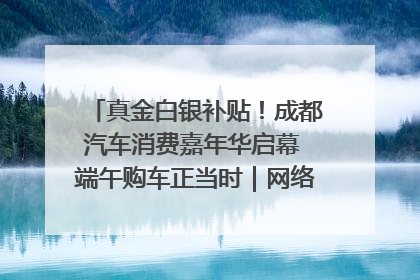 真金白银补贴！成都汽车消费嘉年华启幕 端午购车正当时｜网络中国节·端午