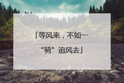 等风来，不如一“骑”追风去
