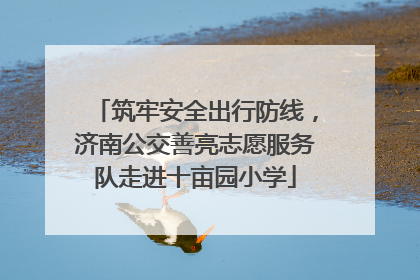 筑牢安全出行防线，济南公交善亮志愿服务队走进十亩园小学
