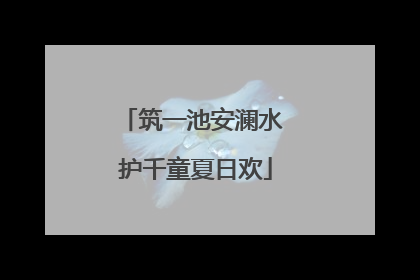 筑一池安澜水 护千童夏日欢