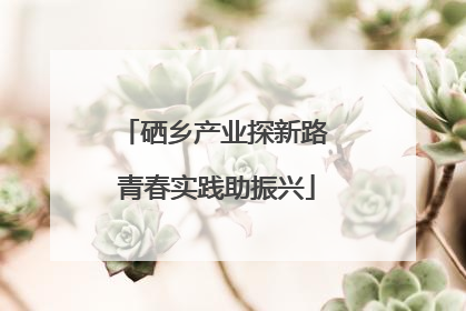 硒乡产业探新路 青春实践助振兴