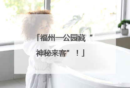 福州一公园藏“神秘来客”！