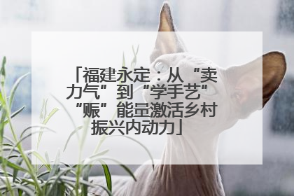 福建永定：从“卖力气”到“学手艺”“赈”能量激活乡村振兴内动力