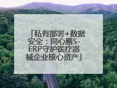 私有部署+数据安全：同心雁S-ERP守护医疗器械企业核心资产