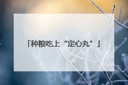 种粮吃上“定心丸”