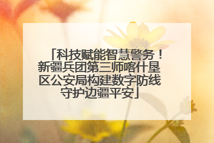 科技赋能智慧警务！新疆兵团第三师喀什垦区公安局构建数字防线守护边疆平安