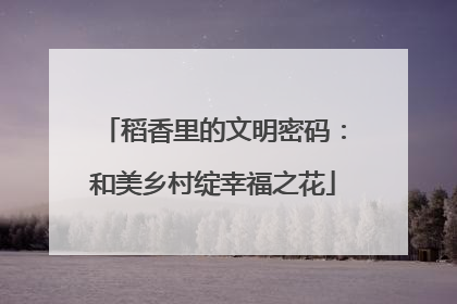 稻香里的文明密码：和美乡村绽幸福之花