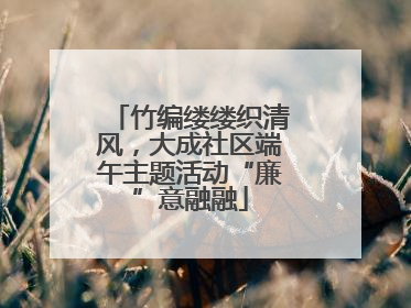 竹编缕缕织清风，大成社区端午主题活动“廉”意融融