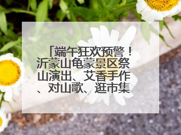 端午狂欢预警！沂蒙山龟蒙景区祭山演出、艾香手作、对山歌、逛市集！速来嗨玩~