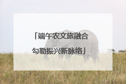 端午农文旅融合 勾勒振兴新脉络