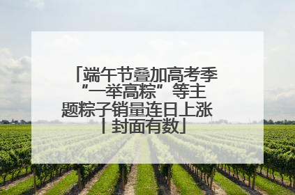 端午节叠加高考季 “一举高粽”等主题粽子销量连日上涨丨封面有数