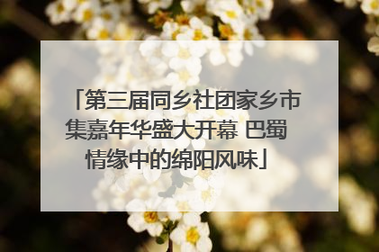 第三届同乡社团家乡市集嘉年华盛大开幕 巴蜀情缘中的绵阳风味
