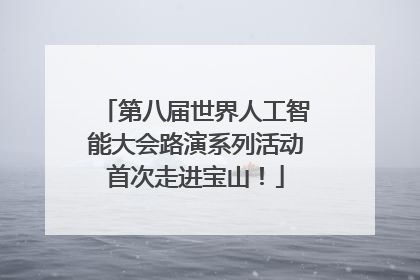 第八届世界人工智能大会路演系列活动首次走进宝山！
