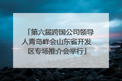 第六届跨国公司领导人青岛峰会山东省开发区专场推介会举行